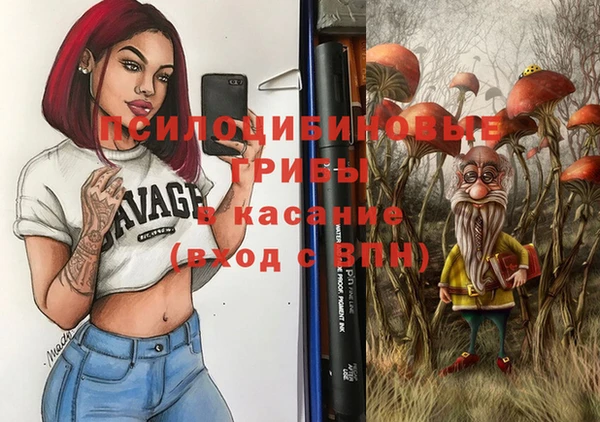 твердый Аркадак