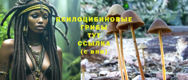 твердый Аркадак