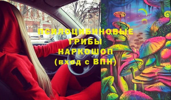 прущие грибы Нея