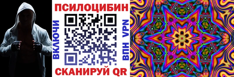 Псилоцибиновые грибы мицелий МЕГА tor Урус-Мартан